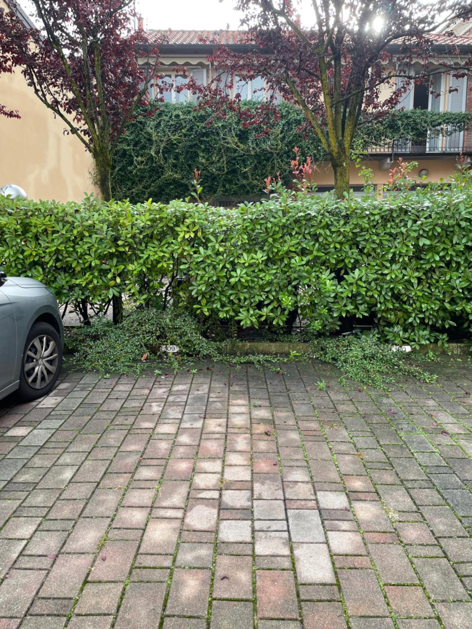 Gelsomino Appartamento Con Posto Auto Nel Centro Di Монца Екстериор снимка